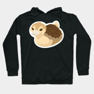 Turtle Duck Hoodie